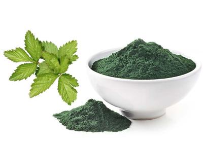 Cina Magnesio Chlorophyllin del sodio per i coloranti di alimenti in vendita