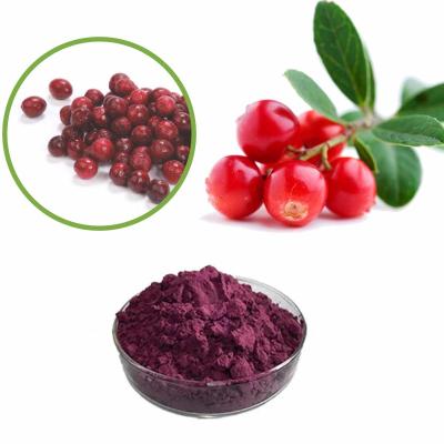 Κίνα Σκόνη εκχυλισμάτων φρούτων 10:1 Lingonberry για να βελτιώσει την όραση προς πώληση