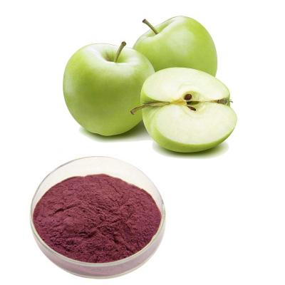 China Apple-Auszug mit 60%-70% Apple dem Polyphenol für Haut werden Kosmetik weiß zu verkaufen