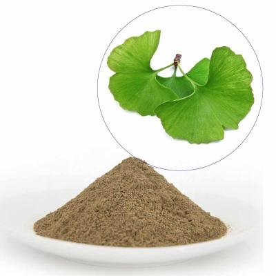 Cina Estratto del ginkgo biloba del grado del PE con 22%-27% il ginkgo lattone di 6% e di Flavonglycosides in vendita