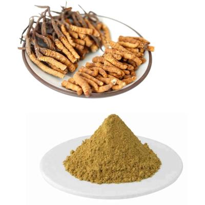 China Natürlicher Auszug Cordyceps Sinensis mit Polysacchariden zu verkaufen