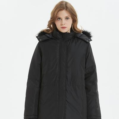 China Anti-wrinkle Winter Windproof Jacket Raised Collar Hooded Ladies Padded Jacket for sale