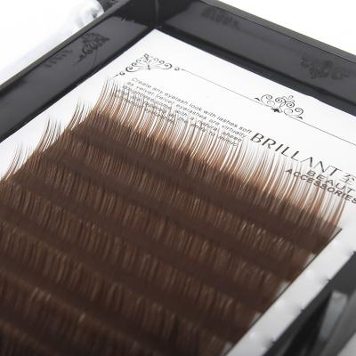 China Long 0.05 0.07 Brown Eyelashes Natural Brown Eyelash Extensions for sale