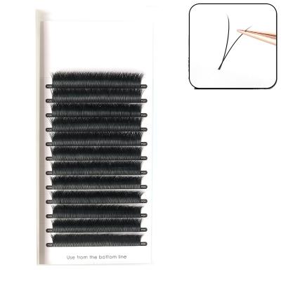 China Customized Long Silk Extensions Natural Matte Black Professional Private Label Clear Plastic Tweezers Case Eyelash Eyelash Extensions for sale