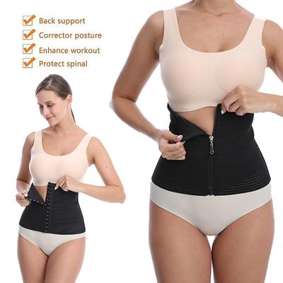 China INTIFLOWER 1001 XXXL Sport Fitness Waist Trainer Women Zipper Breathable Adjustable Belt Black Body Shaper Postpartum Repair for sale