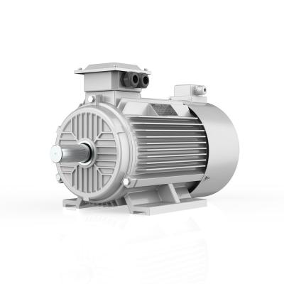 China YVF2-250 30KW 40HP 8P/37KW 50HP 6P/55KW 75HP 2P/55KW 75HP 4PQuality Totally Enclosed Three Phase AC Induction Motor for sale