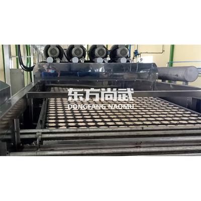 China food & Beverage Plant WFP800 Non-Fried Instant Noodle Production Line for sale