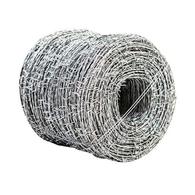 China Tribulus Terrestris Rope Good Strength Effect Galvanized Iron Double Twisted Barbed Wire Single Strand Cold Barbed Airport Barbed Wire for sale