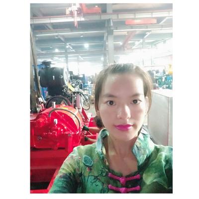 China China High Pressure Cleaning Machinery Manufacture CE Certificated 40000psi High Pressure Washer for sale