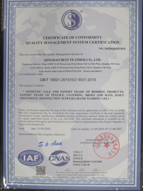 ISO9001 - Qingdao Best Feather Co., Ltd.