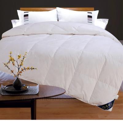 China Wholesale Home Fabric Luxury Soft Comfortable Silk Cotton Comforter Filling Silk Comforter for sale