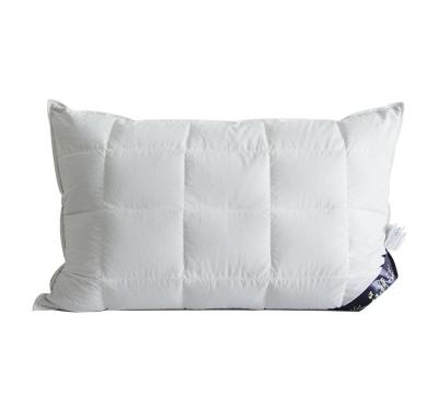 China Buckwheat hull anti-static natural healthy pillow for sale