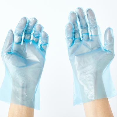 China Food Grade Pe Gloves Waterproof Plastic Pe Gloves Disposable Household Gloves for sale