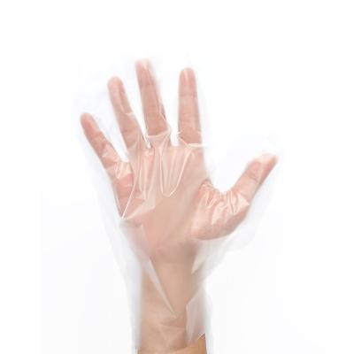 China Hot Selling Disposable PE Food PE Gloves Factory Waterproof HDPE Gloves Clear Polythene Plastic Waterproof Household Plastic Kitchen Disposable Gloves for sale