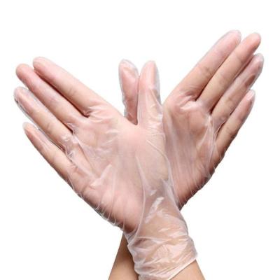 China Use For Kitchen Wholesale Food Grade Vinyl Gloves Powder Free Vinyl Gloves Disposable Powder Free Blue Vinyl Gloves Powder Free for sale