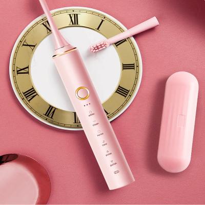 中国 High-frequency vibration electric toothbrush for effectively removes plaque with IPX7 waterproof 販売のため