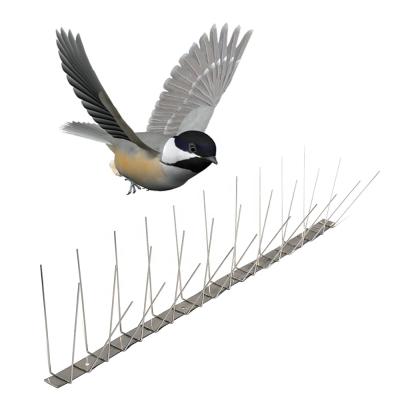 China 50cm Disposable High Quality Stainless Steel Bird Spike For Bird Repellent for sale