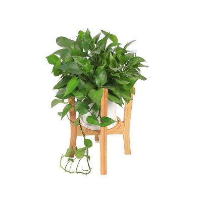 China Factory Sale Stocked Stretch Rack Flower Pot Display Stand Wooden Bamboo Rack With Saucer Tray In Factory for sale