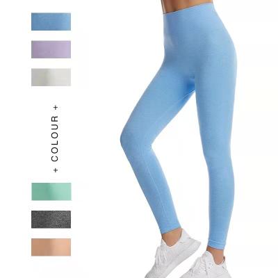 China Sets European and American yoga suit macaroon solid color pants shorts bra plus size tight fitness suit women for sale