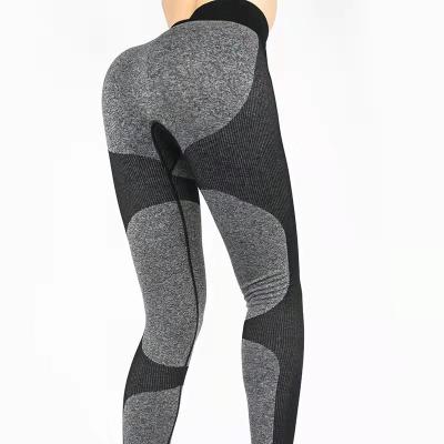 China High waist fitness pants color contrast quick-drying seamless hip yoga pants European women and American sports pants for sale