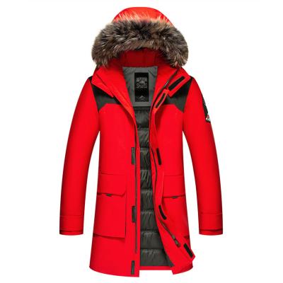 China Winter Outdoor Activities Raccoon Dog Fur Hat Jacket Waterproof Detachable Thick Warm Goose Long Down Coat Men's Down Coat For Hiking for sale