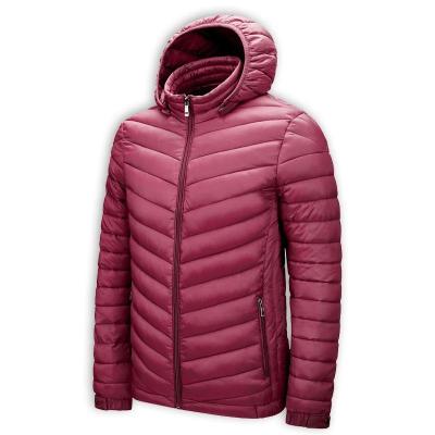 China Waterproof 2022 Men's Winter Fashion Slim Zipper Pocket Padded Warm Stripper Down Jacket Men's Down Coat for sale