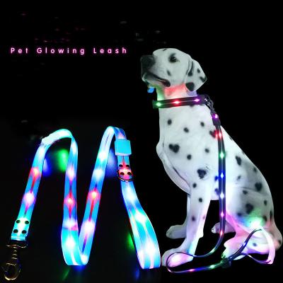 China Viable Led Dog Glow In The Dark Adjustable Luminous Night Leashes Dog Light Collar USB Rechargeable Led Dog Leash for sale