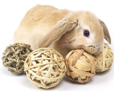 China Viable Straw Rope Cat Teeth Cleaning Toys Pet Rabbit Grass Rope Toy Ball Handwoven Willow Woven Rattan Raft Rabbit Molar Grass Ball for sale