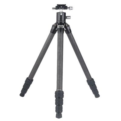 China Lightweight Compact Digital Camera Carbon Fiber Tripod Travel Tripod With Low Profile Ball Head Quick Release Plate For Camera Camcorder for sale