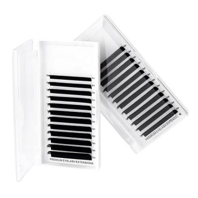 China Long Root Soft PBT False Eyelashes Korean Super Soft Double Ellipse Super Soft Tips Natural Top Quality Flat Lashes for sale