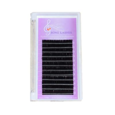 China Soft black ready to ship different lashes eyelash extensions for professionals for sale