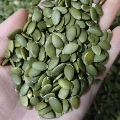 China High Quality Grade AA Dried Pumpkin Seed Kernels Price Best Origin Shelled Northwest for sale