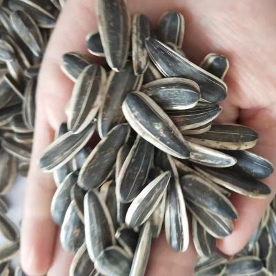 China Hot Sale New Crop Dry Chinese Sunflower Seeds Factory Price Per Ton for sale