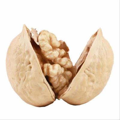 China Wholesale Good Quality Dried Walnuts In Thin Belt Unwashed Shell Price 185 Walnuts Shell for sale