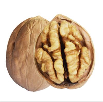 China Factory Direct Selling Professional Production 185 Thin-Skin Dry Unwashed Walnuts for sale