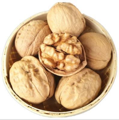 China 2021 new Xinjiang dry culture 185 walnuts in the shell for sale for sale