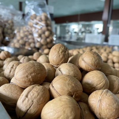 China 2021 new crop factory price dry wholesale walnut in unwashed shell directly deliver Xinjiang original walnut for sale