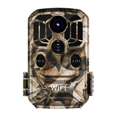 China About 24MP HDKing NDL-601 Hunting Camera to support WIFI to connect with mobile phone for sale