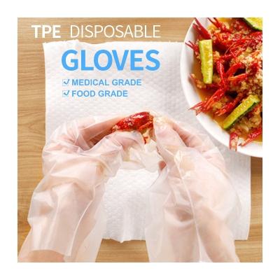 China Tape Stretch Poly Gloves Cheap High Quality Plastic Food Graduate Hand Gloves Hybrid Elastic Tape Gloves Waterproof Blue Transparent Black Tape Glove for sale