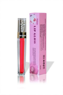 China ODM OEM Langlebiges wasserdichtes Lippenstift Lippenbehandlungsgloss zu verkaufen