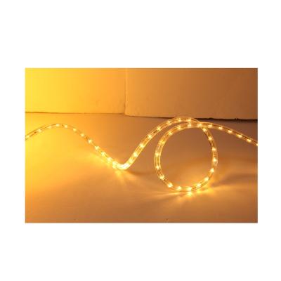 China Theme Park Christmas LED Rope Light For Outdoor Decorative Wire 100m/roll 2 Horizontal Rope Light for sale