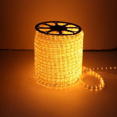 China IP65 Theme Park Outdoor Use 220V 110V LED Rope Light For Christmas Wedding Decoration Light for sale