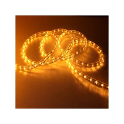 China 220V Theme Park Outdoor Holiday String Light OEM LED Rope Light 120V Colorful Waterproof Christmas Lighting for sale