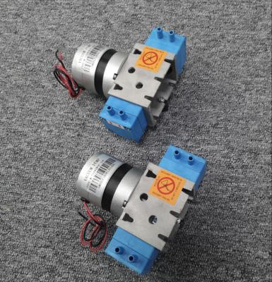 China Oil-free long life Brushless Motor Double head vacuum pump for Beauty Machine for sale