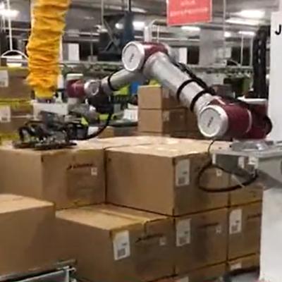 China Hotels Cobot Robotic Arm Robot Palletizer Collaboration Wooden Palletizing Boxes for sale