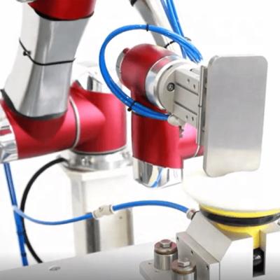 China Hotels Arm Industrial Robot 6 Axis Robot Polish Machine Arm Manipulator China for sale