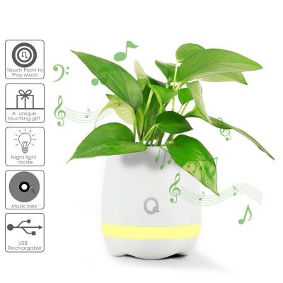 China Smart BT Speaker + Touch Piano Music Flower Pot Planter with BT Speaker and Night Light Touch Piano Music Flower Pot for sale