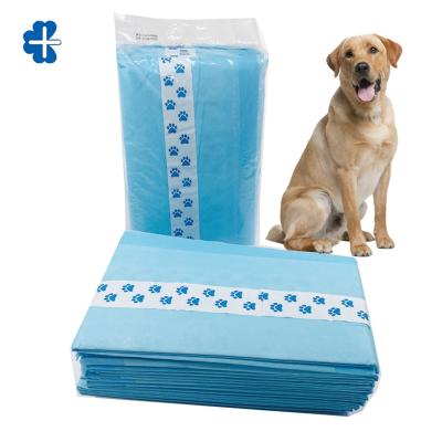 China Sustainable Color Customized Disposable Dog Pee Pad Pet Puppy Training Pads With Stickers for sale