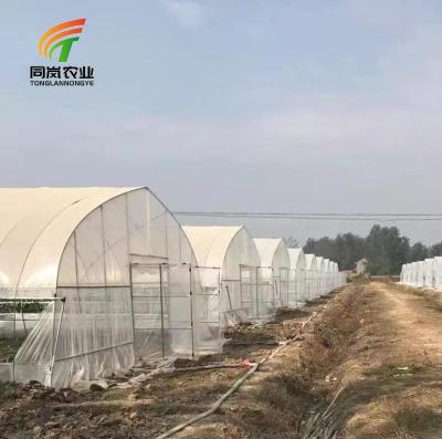 China Stable Structure Easily Assembled Low Cost Galvanized Steel Pipe Used Greenhouse Polytunnel Greenhouse For Plant Growth for sale