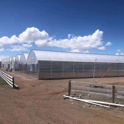 China Stable Structure Easily Assembled Greenhouse UV Treated Reinforced Clear Plastic Sheet 200 Micron Woven Greenhouse Film Tarpaulin for sale